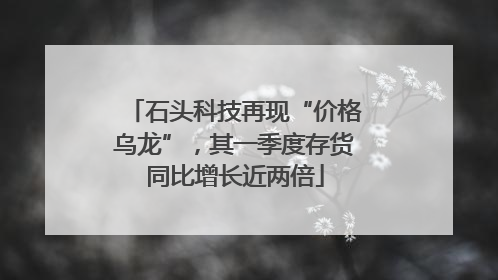 石头科技再现“价格乌龙”，其一季度存货同比增长近两倍