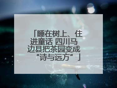 睡在树上、住进童话 四川马边县把茶园变成“诗与远方”