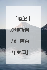 瞭望丨沙特新努力适应百年变局