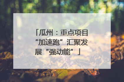 瓜州：重点项目“加速跑”汇聚发展“强动能”