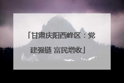 甘肃庆阳西峰区：党建强链 富民增收