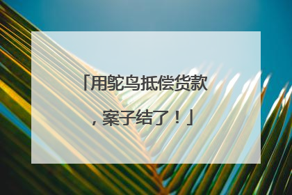 用鸵鸟抵偿货款，案子结了！