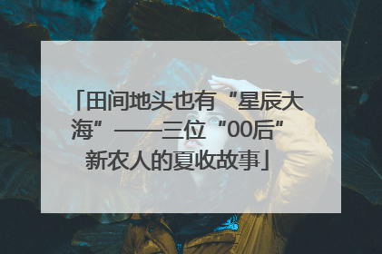 田间地头也有“星辰大海”——三位“00后”新农人的夏收故事
