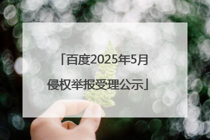 百度2025年5月侵权举报受理公示