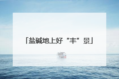 盐碱地上好“丰”景