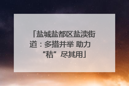 盐城盐都区盐渎街道：多措并举 助力“秸”尽其用