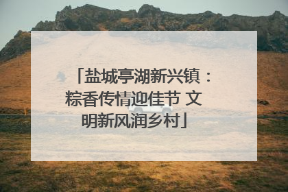 盐城亭湖新兴镇：粽香传情迎佳节 文明新风润乡村