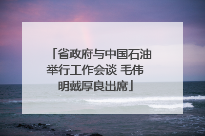 省政府与中国石油举行工作会谈 毛伟明戴厚良出席