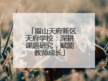 眉山天府新区天府学校：深耕课题研究，赋能教师成长