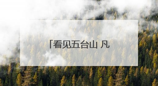 看见五台山 凡人凡事｜生命的托举 应急救援队昼夜连续作战成功救出两批被困游客