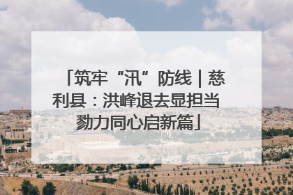 筑牢“汛”防线｜慈利县：洪峰退去显担当 勠力同心启新篇