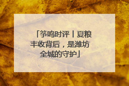 筝鸣时评丨夏粮丰收背后，是潍坊全城的守护