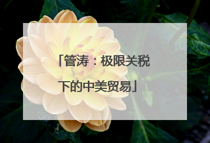 管涛：极限关税下的中美贸易
