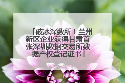 破冰深数所！兰州新区企业获得甘肃首张深圳数据交易所数据产权登记证书