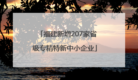 福建新增207家省级专精特新中小企业
