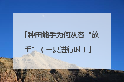种田能手为何从容“放手”（三夏进行时）