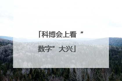 科博会上看“数字”大兴