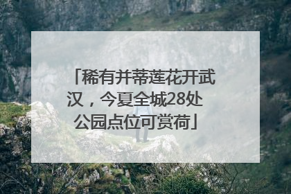 稀有并蒂莲花开武汉，今夏全城28处公园点位可赏荷
