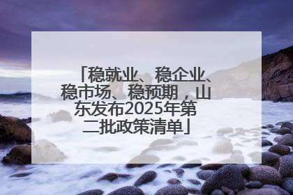 稳就业、稳企业、稳市场、稳预期，山东发布2025年第二批政策清单