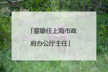 章雄任上海市政府办公厅主任