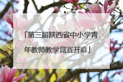 第三届陕西省中小学青年教师教学竞赛开幕