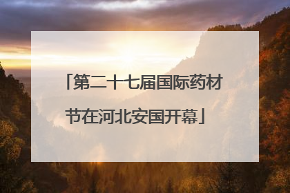 第二十七届国际药材节在河北安国开幕