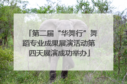 第二届“华舞行”舞蹈专业成果展演活动第四天展演成功举办