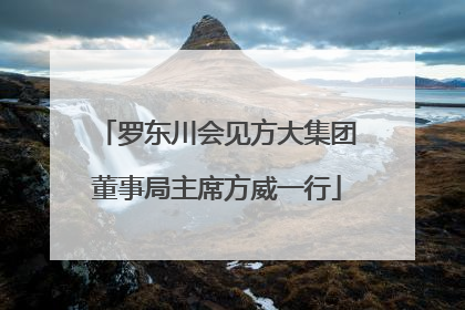 罗东川会见方大集团董事局主席方威一行