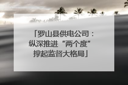 罗山县供电公司：纵深推进“两个度” 撑起监督大格局
