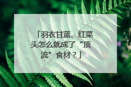 羽衣甘蓝、红菜头怎么就成了“顶流”食材？