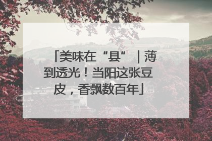 美味在“县”｜薄到透光！当阳这张豆皮，香飘数百年