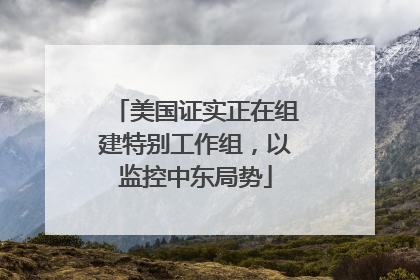 美国证实正在组建特别工作组，以监控中东局势