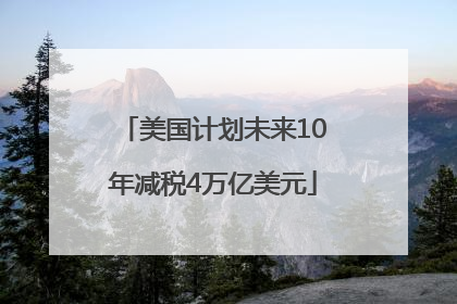 美国计划未来10年减税4万亿美元