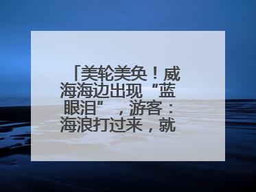 美轮美奂！威海海边出现“蓝眼泪”，游客：海浪打过来，就像星河一样