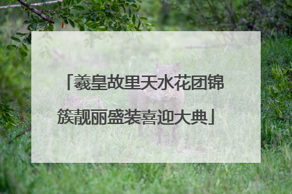 羲皇故里天水花团锦簇靓丽盛装喜迎大典