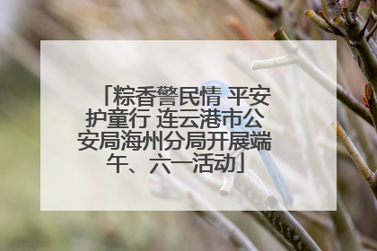 粽香警民情 平安护童行 连云港市公安局海州分局开展端午、六一活动