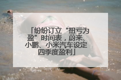 纷纷订立“扭亏为盈”时间表，蔚来、小鹏、小米汽车设定四季度盈利
