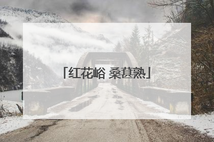 红花峪 桑葚熟