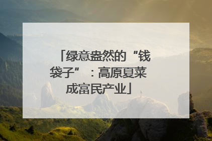 绿意盎然的“钱袋子”：高原夏菜成富民产业