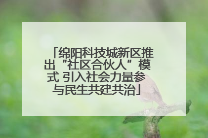 绵阳科技城新区推出“社区合伙人”模式 引入社会力量参与民生共建共治