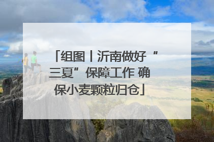 组图丨沂南做好“三夏”保障工作 确保小麦颗粒归仓