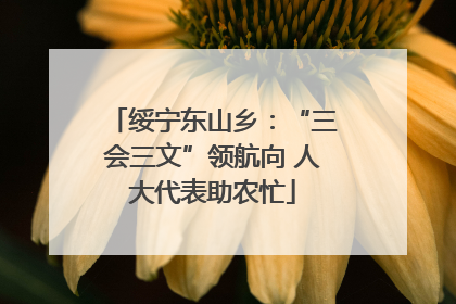 绥宁东山乡：“三会三文”领航向 人大代表助农忙