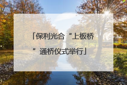 保利光合“上板桥”通桥仪式举行