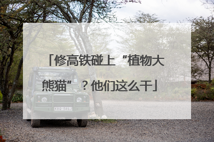 修高铁碰上“植物大熊猫”？他们这么干