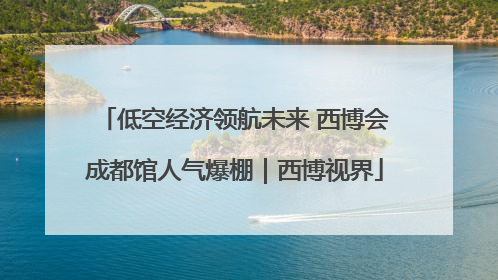 低空经济领航未来 西博会成都馆人气爆棚｜西博视界