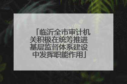 临沂全市审计机关积极在统筹推进基层监督体系建设中发挥职能作用