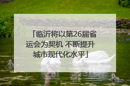 临沂将以第26届省运会为契机 不断提升城市现代化水平