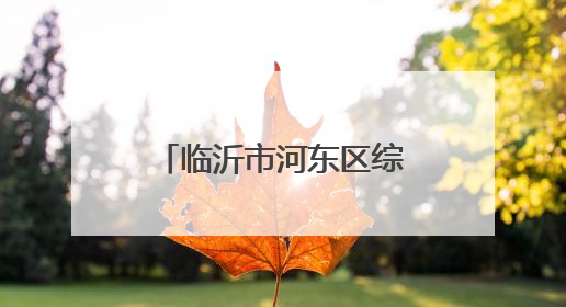 临沂市河东区综合行政执法局精修“民生路”，畅通“幸福线”