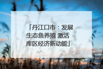 丹江口市：发展生态鱼养殖 激活库区经济新动能