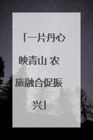 一片丹心映青山 农旅融合促振兴